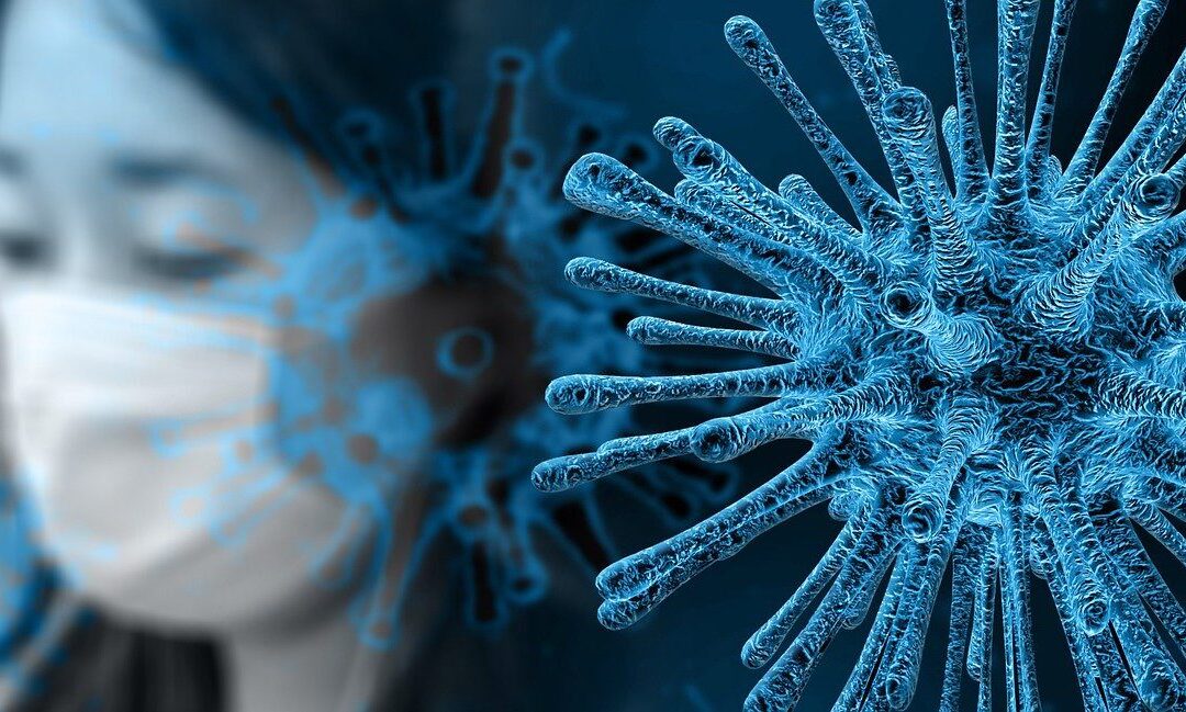 Protocol coronavirus en WTV